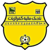 مالية كفر الزيات